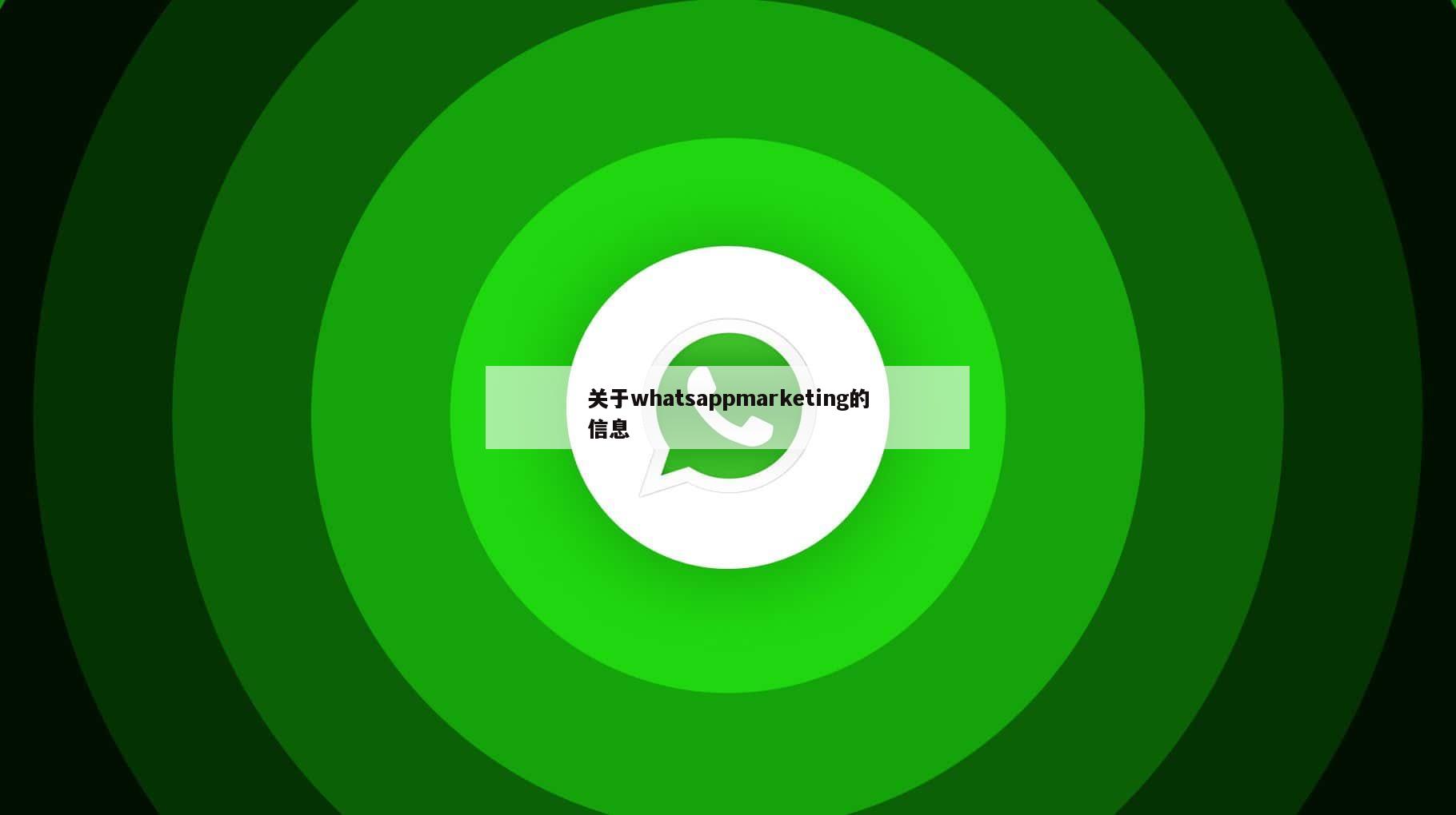 关于whatsappmarketing的信息